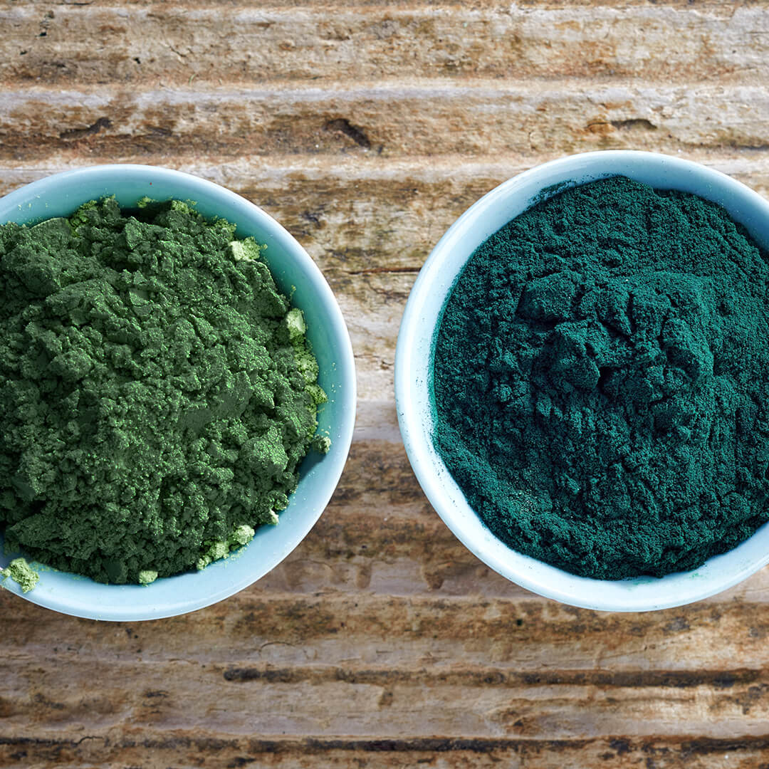 Spirulina Vs. Chlorella, Which Is Superior?