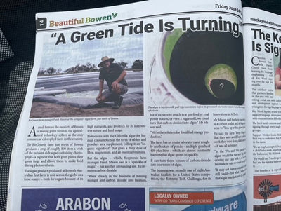 Newspaper Feature- A Green Tide Is Turning